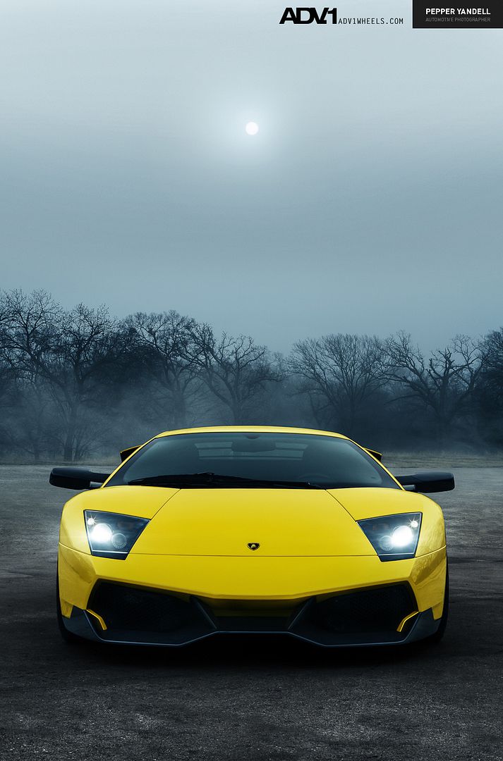 Posted Image
